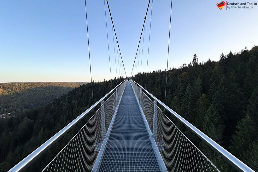 Die Wildline Hängebrücke im Schwarzwald